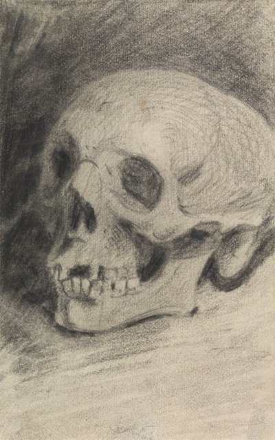 Studio di un teschio da Benjamin Robert Haydon