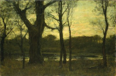 Una piscina nella foresta da Benjamin Rutherford Fitz
