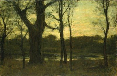 Una pozza nella foresta, fine XIX secolo da Benjamin Rutherford Fitz