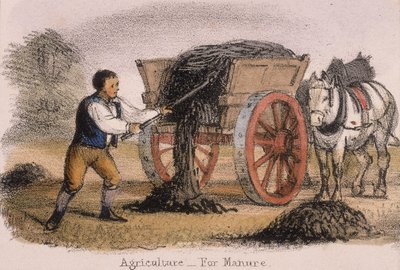 Agricoltura, per concime, c1845 da Benjamin Waterhouse Hawkins
