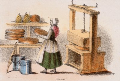 Formaggio, c1845 da Benjamin Waterhouse Hawkins