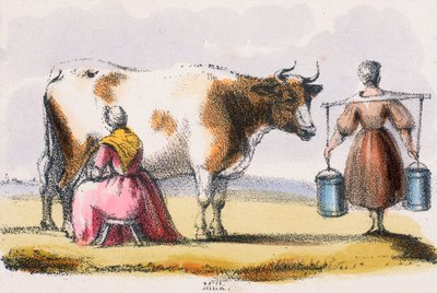 Latte da Benjamin Waterhouse Hawkins