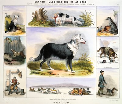 Il cane, c1850 da Benjamin Waterhouse Hawkins