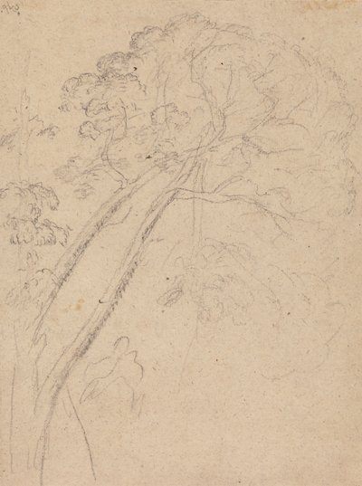 Studio di costume per il ritratto di una signora da Benjamin West