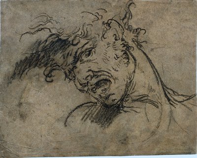 Testa di un uomo che urla (recto) da Benjamin West