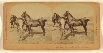 Roadster di fantasia, Esposizione di Toronto, Can. da Benjamin West Kilburn