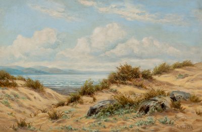 Dune di sabbia sul Conwy da Benjamin Williams Leader