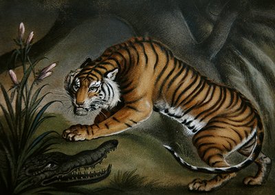 Tigre e coccodrillo, c.1810 da Benjamin Zobel
