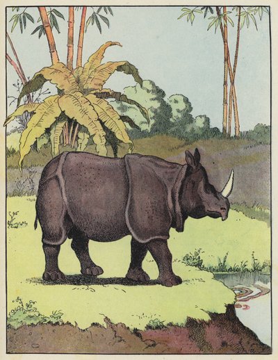 Rinoceronte indiano da Benjamin Rabier