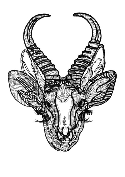 Doppia biche, 2019 (inchiostro su carta) da Benoit Erwann Boucherot
