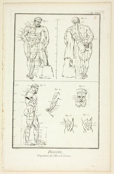 Disegno: Proporzioni dell