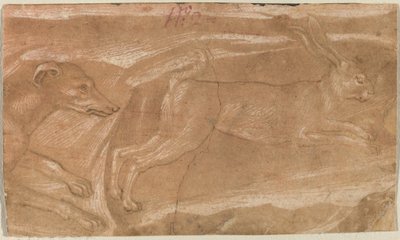 Un cane che insegue una lepre da Benozzo Gozzoli