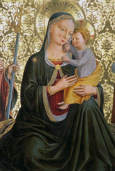 Madonna dell