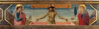 Immagine sconosciuta da Benozzo di Lese di Sandro Gozzoli