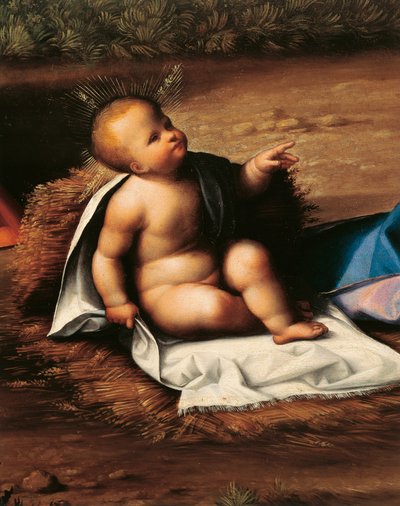 Gesù Bambino (dettaglio dalla Natività) da Benvenuto Tisi da Garofalo