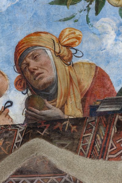 Figura femminile (dettaglio della volta, Aula Costabiliana o Sala del Tesoro) da Benvenuto Tisi da Garofalo