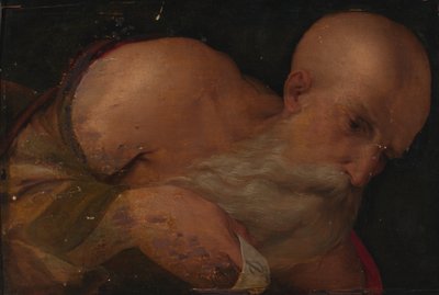 Ritratto di un uomo da Benvenuto Tisi da Garofalo