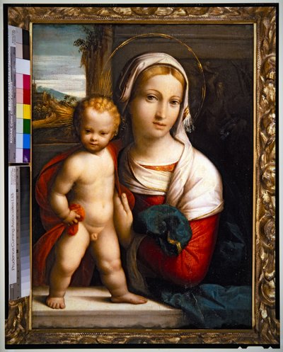 Vergine e Bambino da Benvenuto Tisi da Garofalo
