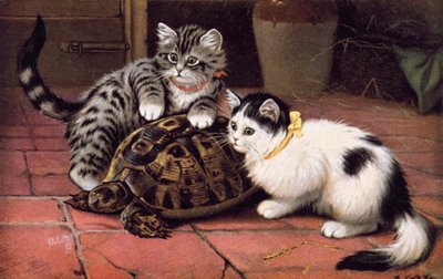 Cartolina di gatti da Bernard Cobbe