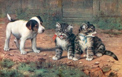 Cartolina del gatto da Bernard Cobbe