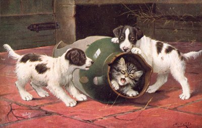 Cartolina del Gatto da Bernard Cobbe