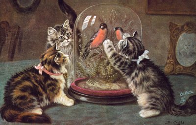 Cartolina del gatto da Bernard Cobbe