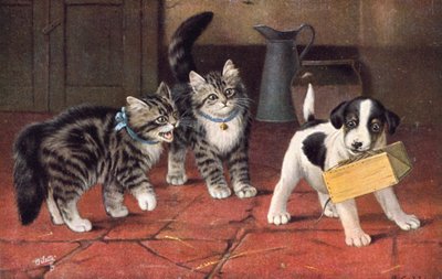 Cartolina del gatto da Bernard Cobbe