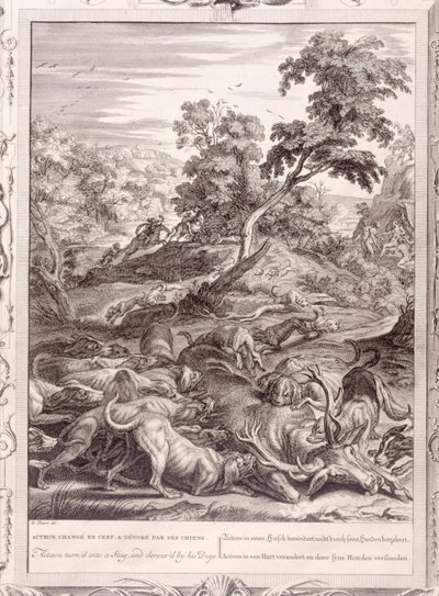 Atteone trasformato in cervo e divorato dai suoi cani, 1731 da Bernard Picart