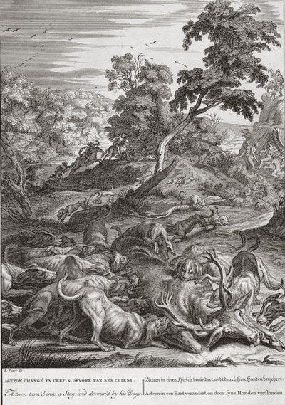 Atteone trasformato in cervo e divorato dai suoi cani, 1731 da Bernard Picart