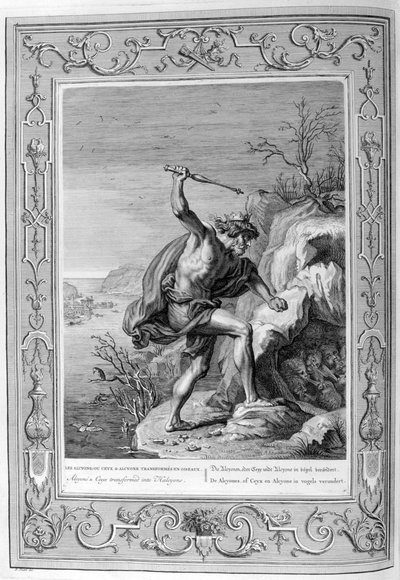 Alcione e Ceice trasformati in uccelli, 1733 da Bernard Picart