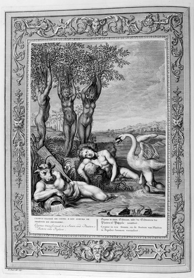 Cigno trasformato in cigno e le sorelle di Fetonte in pioppi, 1733 da Bernard Picart