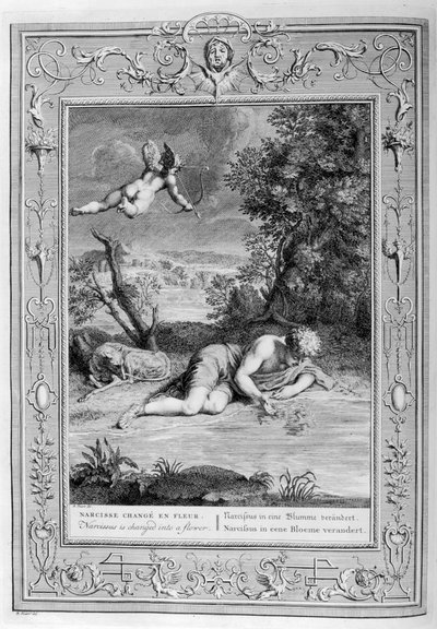 Narciso innamorato del proprio riflesso, 1733 da Bernard Picart