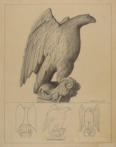 Aquila da Bernard Westmacott