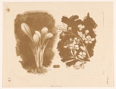 Crocus e un ramo con fiori da Bernard Willem Wierink