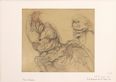 Due cacatua, a mezzo busto da Bernard Willem Wierink