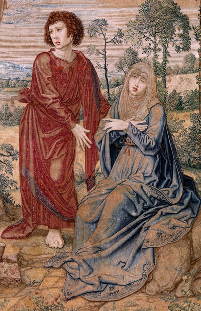 Arazzo Fiammingo. Serie Baldacchino di Carlo V. Cristo della Misericordia da Bernard van Orley