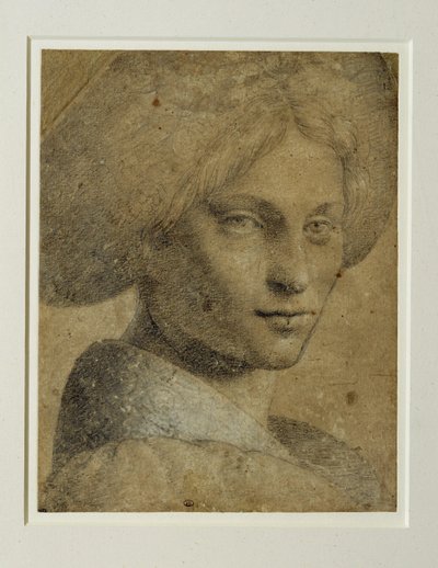 Ritratto di donna con turbante, di tre quarti a destra ... da Bernardino (attr. to) Luini