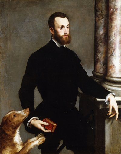 Ritratto di un gentiluomo, in piedi a tre quarti di lunghezza, con un costume nero e un libro da Bernardino Campi