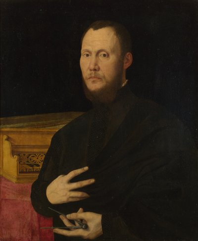 Ritratto di un musicista, c. 1565 da Bernardino Campi