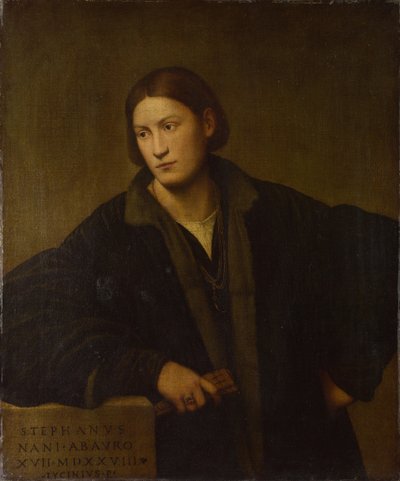 Ritratto di Stefano Nani, 1528 da Bernardino Licinio