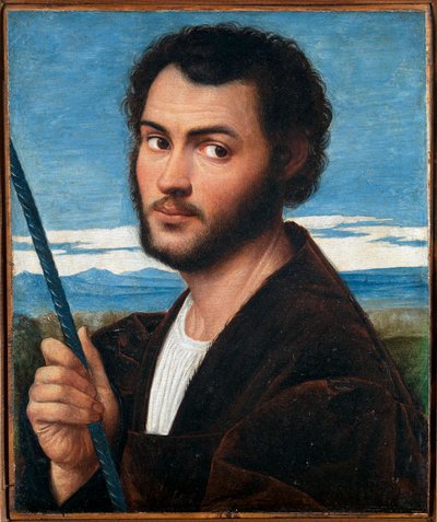 Ritratto di un uomo da Bernardino Licinio