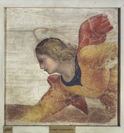 Angelo da Bernardino Luini