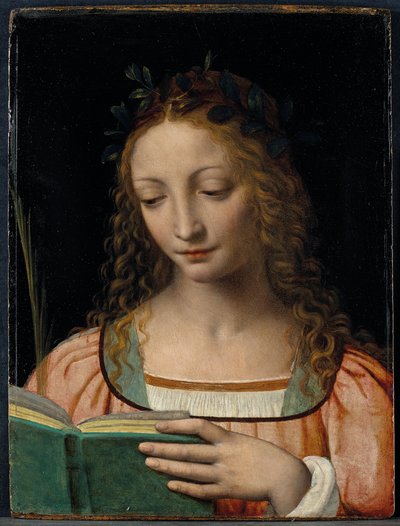 Figura di santo a mezzo busto, con una palma e leggendo le scritture da Bernardino Luini