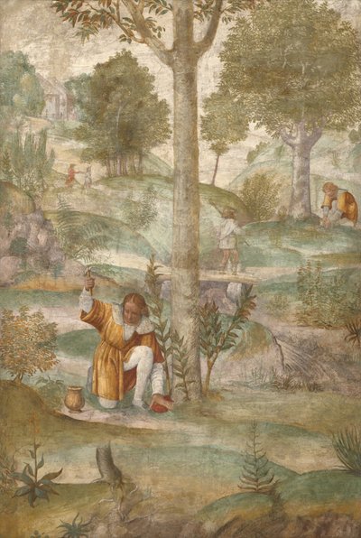  da Bernardino Luini