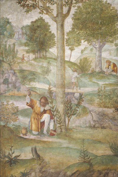 Cefalo nasconde i gioielli, c. 1520-1522 da Bernardino Luini