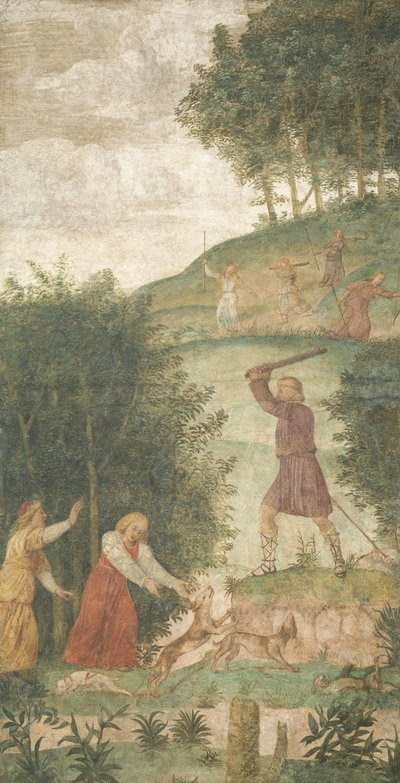 Cefalo punito alla caccia da Bernardino Luini