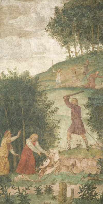 Cefalo punito alla caccia da Bernardino Luini