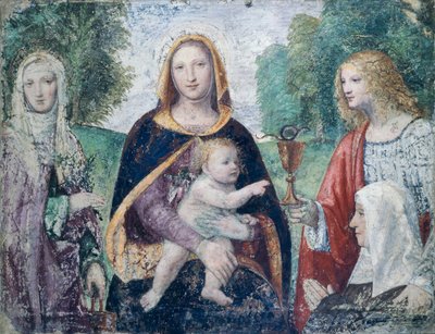 Madonna col Bambino e Santi da Bernardino Luini
