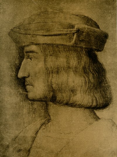 Ritratto maschile da Bernardino Luini