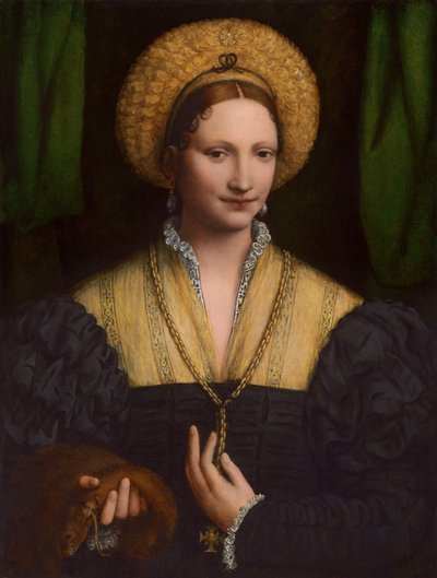 Ritratto di una Signora, 1520-1525 da Bernardino Luini